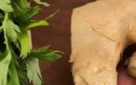 Natural Collagen Boost: Apply This in the Evening and Be Surprised in the Morning