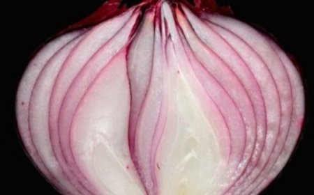 Erases Varicose Veins Like an Eraser! Top 5 Recipes with Red Onion