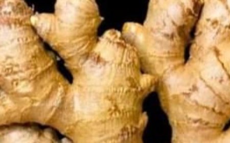 35 Years Without Getting Sick: Discover My Secret with Ginger and Apple