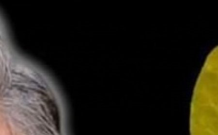 The Magic of Bay Leaves: A Quick Fix for Gray Hair