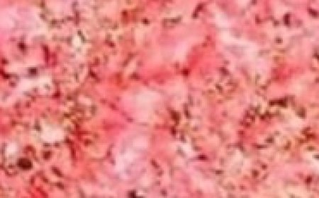 Oklahoma Fried Onion Burgers