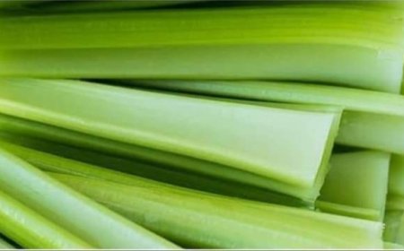 Unlocking the Power of Celery: A Supercharged Recipe for Liver Health
