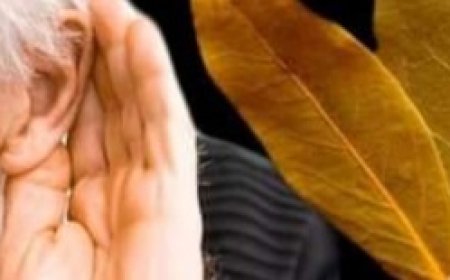 Labyrinthitis, Tinnitus, and Dizziness Will Disappear: Avoid Hearing Loss Naturally with Bay Leaves