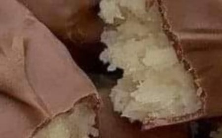 Made from scratch, chocolate coconut bars