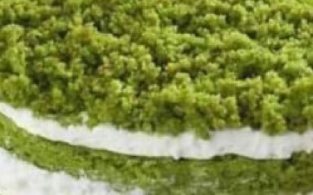 Spinach Cake Recipe