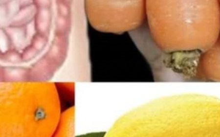 Intestines and Liver Will Be Like New! Only 3 Days – All the Dirt Comes Out