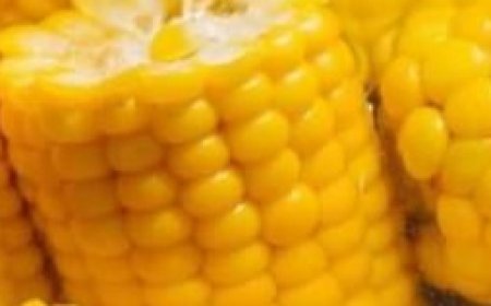 The Real Reason You Shouldn’t Boil Corn on the Cob