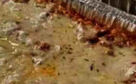 Mexican Taco Lasagna