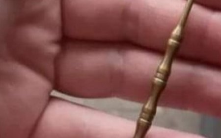 This Mysterious Item Has Left People Wondering About Its Purpose