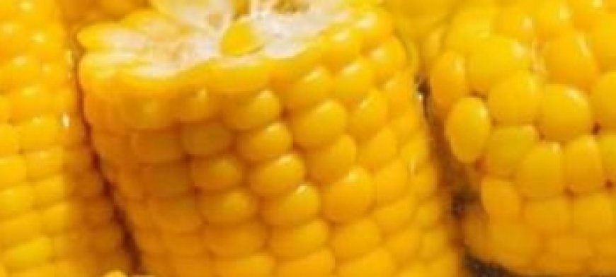 The Real Reason You Shouldn’t Boil Corn on the Cob