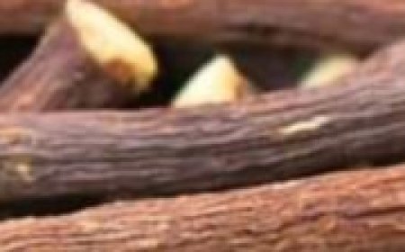 Liquorice: The Sweet Root with Surprising Benefits