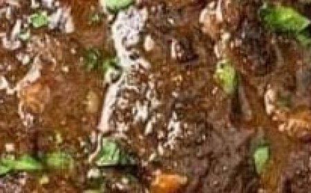 Classic Pot Rust and EZ Vegetables