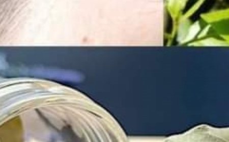 Discover the Magic of Bay Leaves for Revitalizing Your Hair