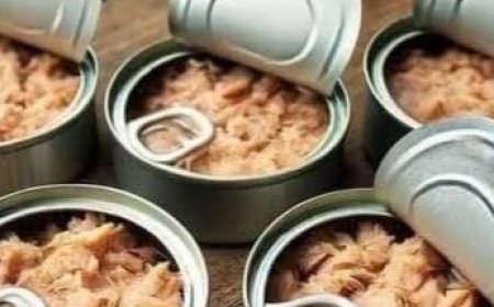 Innovative Ideas for Reusing Empty Tuna Cans