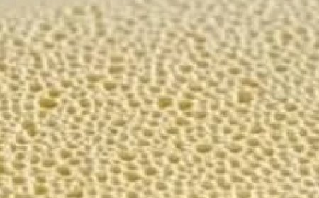 Master the Art of Making Japanese Cotton Cheesecake at Home