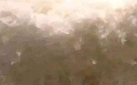 Delicious Coconut Cake Recipe