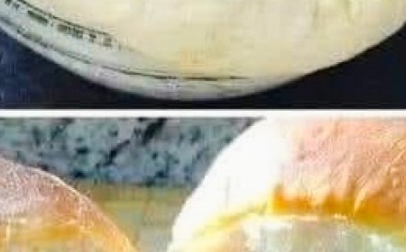 Bread Recipe Without Kneading: The Easiest Recipe Ever