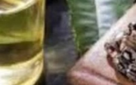 Try using castor oil before going to bed and experience its amazing advantages