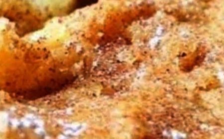 Apple Bars: A Delightful Autumn Treat