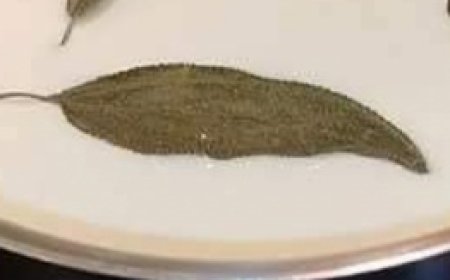 Bay Leaf, Milk, and Honey Remedy for Coughs and Congestion: A Must-Remember Recipe!