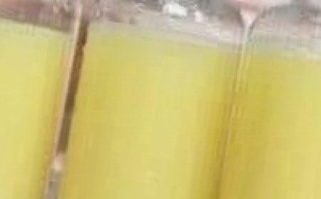 Boost Your Wellness with This Pineapple Ginger Shot Recipe