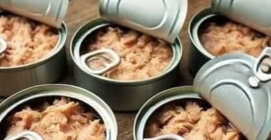 Innovative Ideas for Reusing Empty Tuna Cans