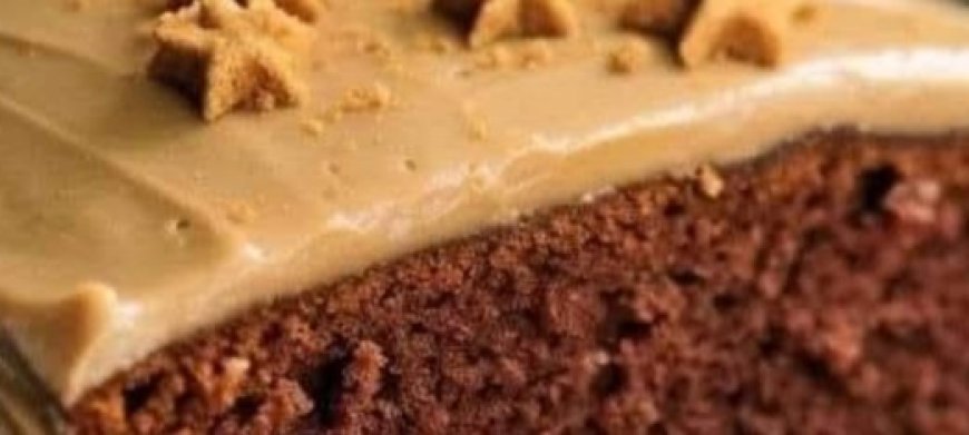 Delicious gingerbread cake with a rich layer of cinnamon