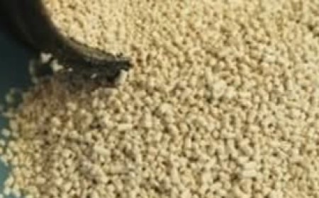 Yeast Removes Wrinkles in 3 Minutes: Natural Anti-Aging Mask