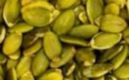The Incredible Power of Pumpkin Seeds: What They Do to Your Body