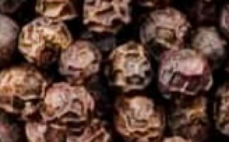 Black Pepper Benefits