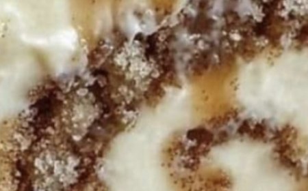 Absolutely Sinful Cinnamon Rolls!