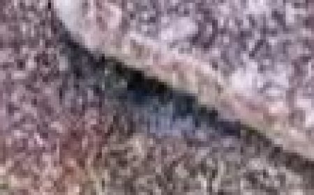 Homemade Banana Sweet with 4 Ingredients: Easy Recipe: Don’t Throw Away Overripe Bananas