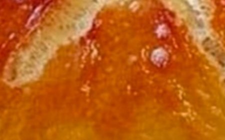 No-Oven Stovetop Bread Recipe