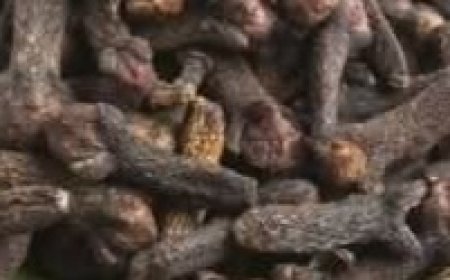 4 Secret Uses of Clove Spice You Need to Know