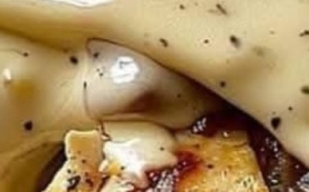 Creamy Chicken TortillaWraps