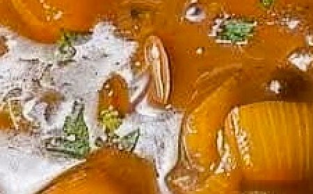 Salisbury Steak with Onion Gravy