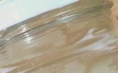 Only 2 Cups a Day for 1 Week and You’ll Need Smaller Clothes!