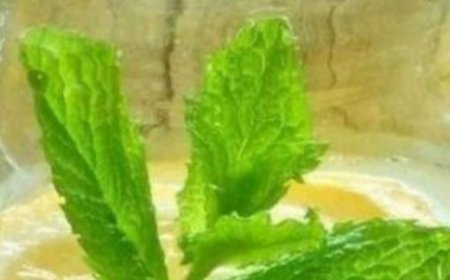 The Ultimate All-Natural Detox Drink: Cleanse and Refresh Your Body