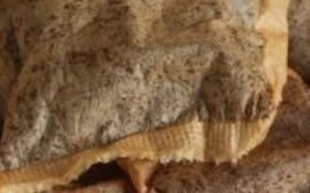 You Will Never Throw Away Used Tea Bags Again After Learning These Incredible Uses