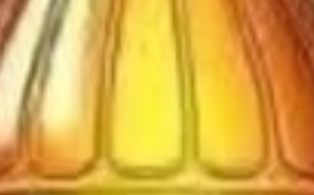 Discover the Magic of Castor Oil and Apple Cider Vinegar