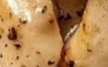 Creamy Chicken Marsala Pasta