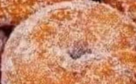 Soft Vanilla Milk Bread