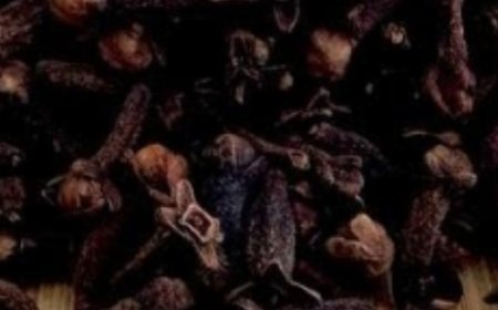 This Natural Antibiotic Is 200 Times Stronger – Cloves, Cinnamon, and Bay Leaves!