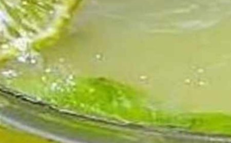 Juice burn Fat: Pineapple Lemon and Ginger