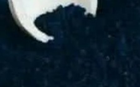 Plant in the Bible Said to Heal All Ailments