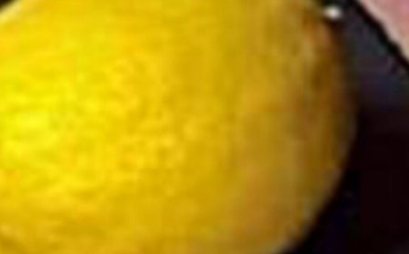 Traditional Preserved Lemon Recipe