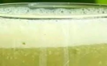This Is the Drink That Can Help Cure Cancer, Diabetes, Poor Circulation, and High Blood Pressure Without Expensive Medications
