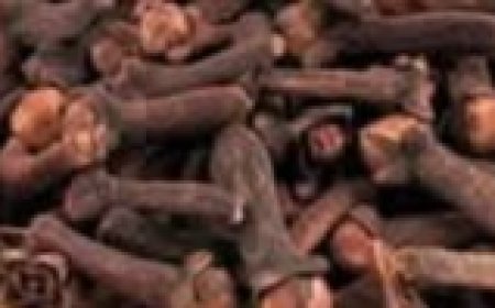 The Transformative Health Benefits of Chewing Cloves at 68