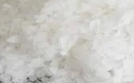 A Single Ingredient to Combat Bone Pain, Diabetes, Anxiety, Depression, and Constipation!