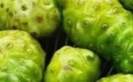 Ancient Wellness Tea: Heal with Ginger, Lemongrass, and Cinnamon